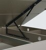 Zurich High Gloss Queen Size Bed With Upholstered Headboard & Hydraulic Storage In Beige Colour