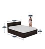 Zurina King Size Bed in Wenge Finish with Box Storage