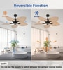 Zyro Smart Fan Cream Color Metal , Google & Alexa Remote & App Control