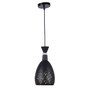Zyvaria Black Iron Hanging Light  | E27 holder | without Bulb |  Eliante