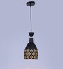 Zyvaria Black Iron Hanging Light  | E27 holder | without Bulb |  Eliante