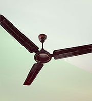 Bajaj Edge Brown Ceiling Fan