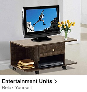Entertainment Units