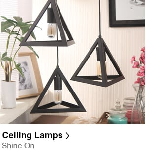 Ceiling Lamps